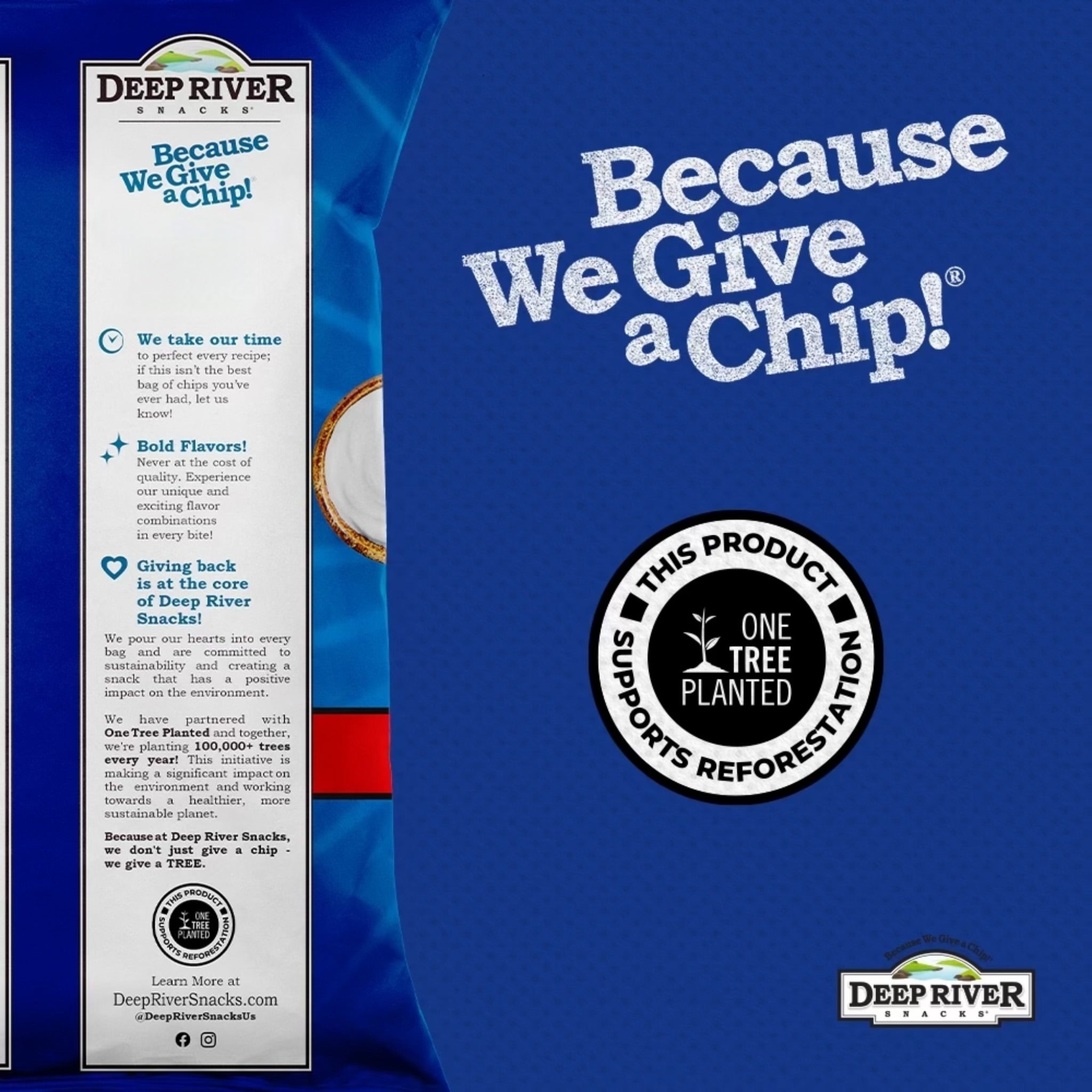 Sour Cream and Onion Kettle Cooked Potato Chips - Image 4